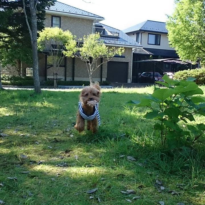 De27c9e1 cd98 4099 80a4 52eb80254788