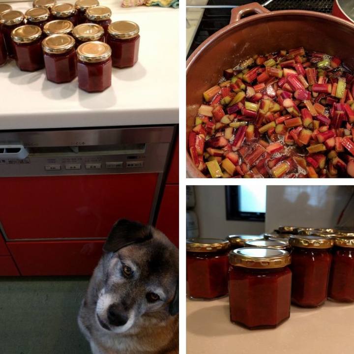 De28d9ca 9daf 4d7f 9949 9bc638a35ea1