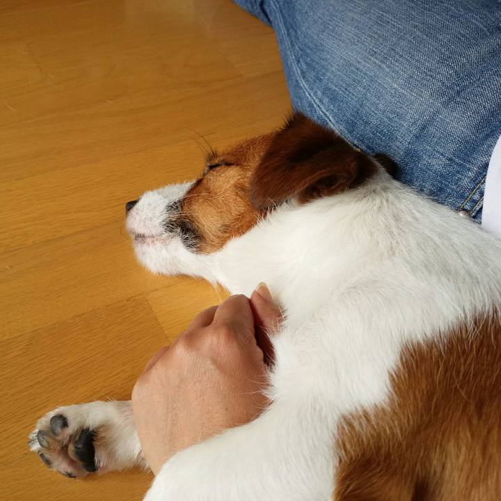 De28e0c1 7149 45fe b28f dd12f973d8b3