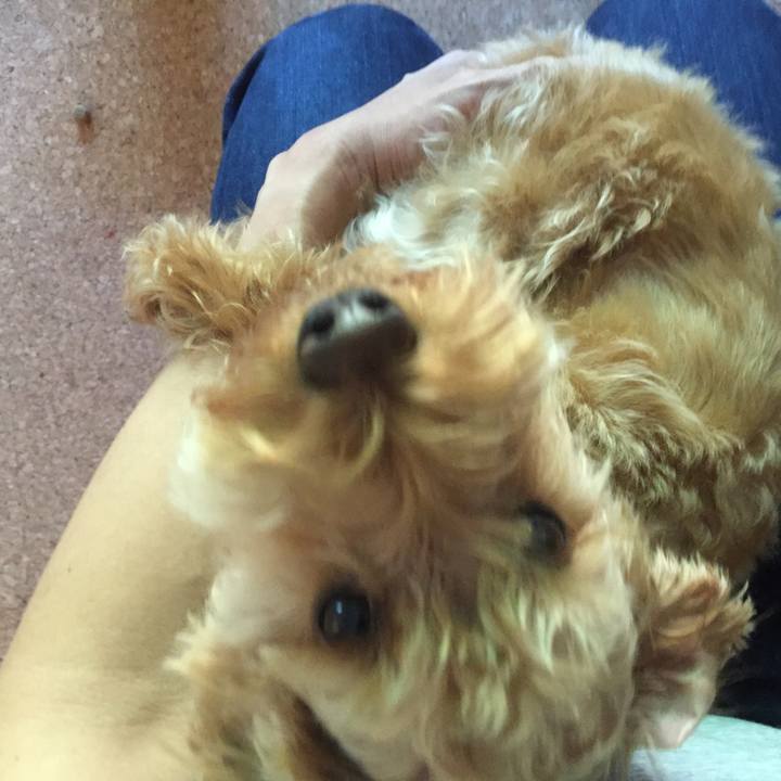 De28e257 cc0a 44cc ba01 930b9a0539a0