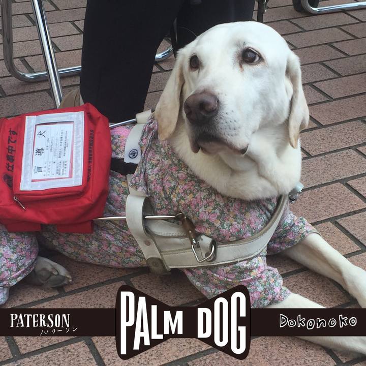 De2933ec b5c7 4c2e b71a 3a10addbab44