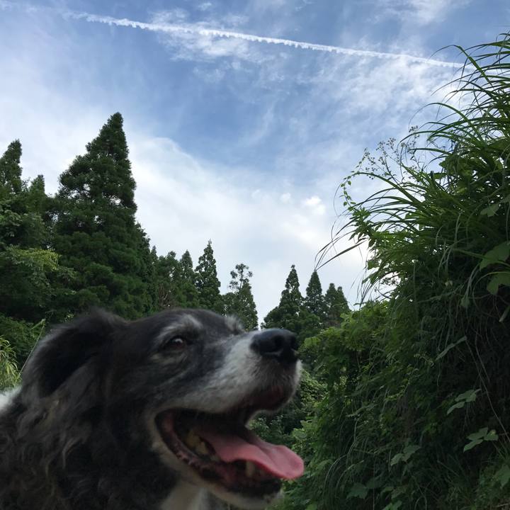 De29a337 6826 4597 9218 4b7a74ba2ac1