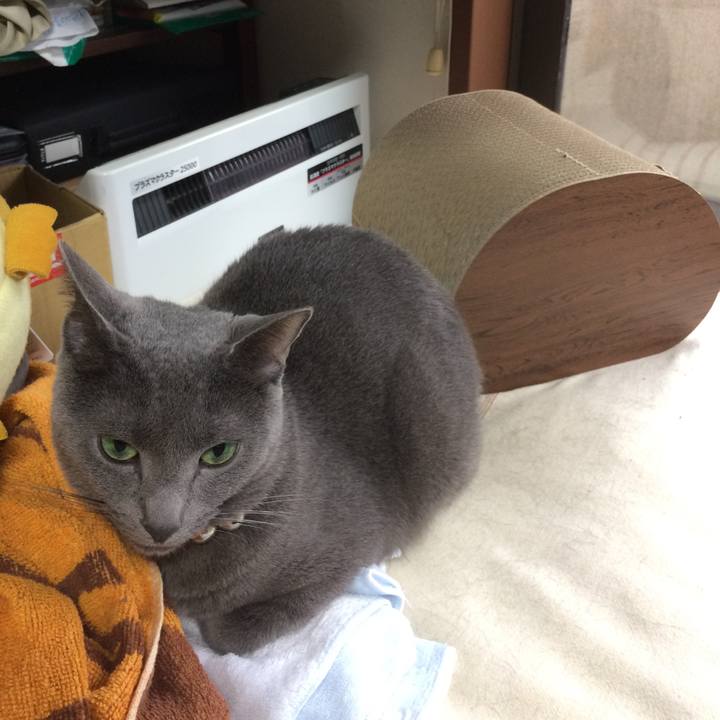 De29c25d 191d 45ea afdd 755a5013856e