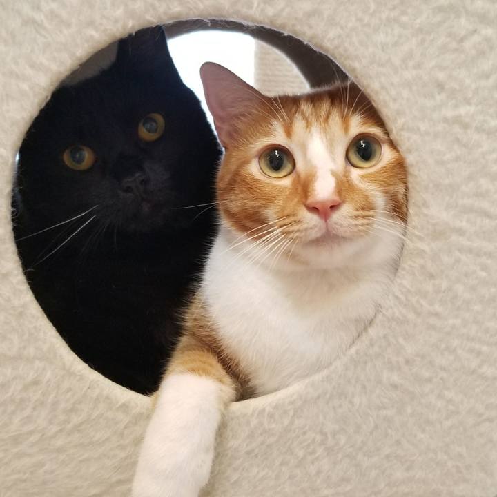 De29c316 605b 4dbd bdf5 57926e9ed796