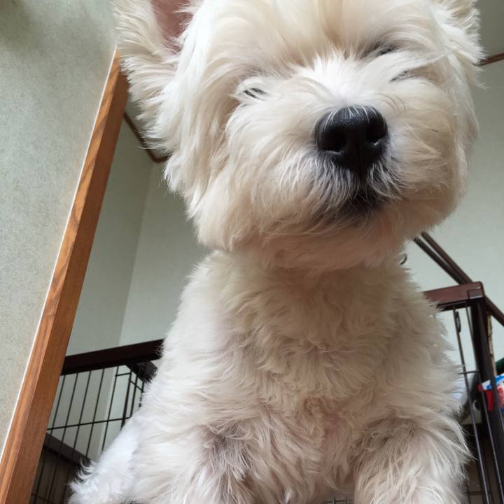 De2a75f8 eef2 4033 9c52 a3adf2267394