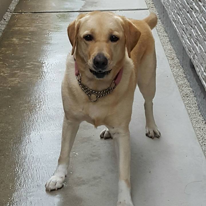 De2a8f32 ebdb 4a4f 9881 91200e3af9dc