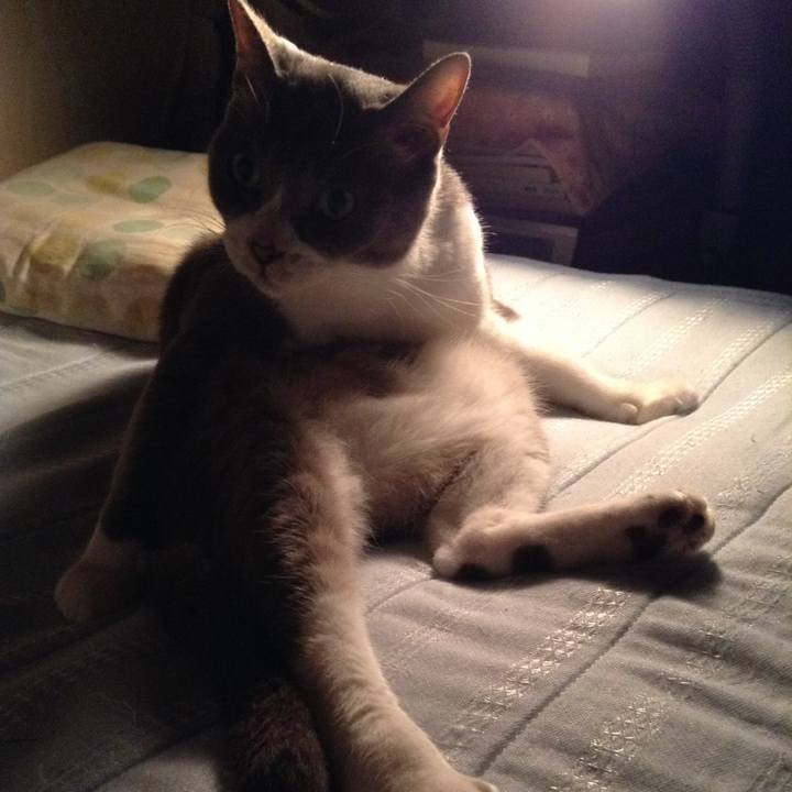 De2ad920 a6a1 41cd 8560 65dc3c27a189