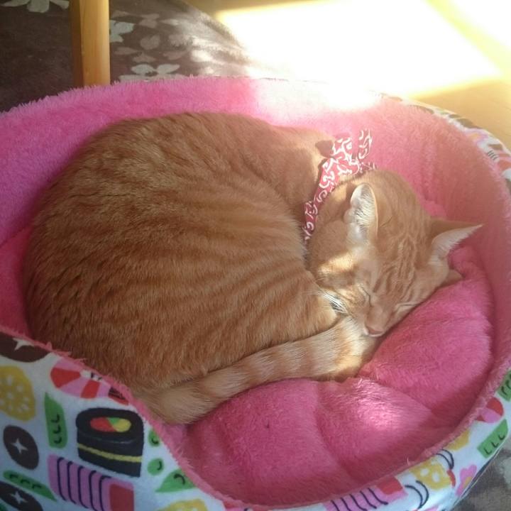 De2b4801 4ff3 4134 b8a8 839914c408b7