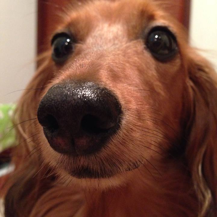 De2b7b87 8502 400c 8033 6f02b8f6c735