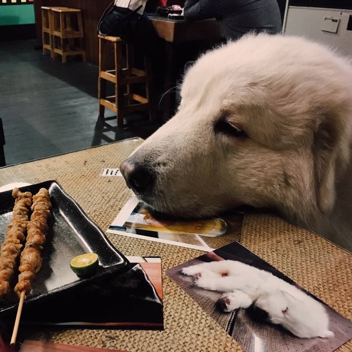 De2b7e50 f5b4 495b b127 a5cc3c01dc50