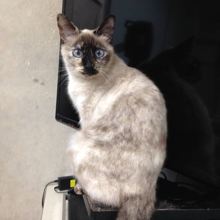 De2b95ba 793e 4fb2 bff3 79a96d304db8