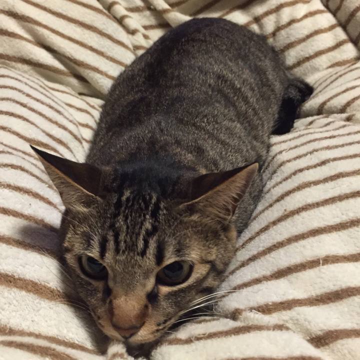 De2bea38 775a 48de 8ec6 36ef7e87023f