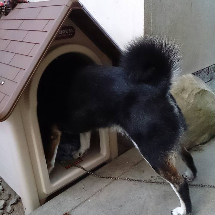 De2d9140 6cdb 459f a041 0b01d9154dab