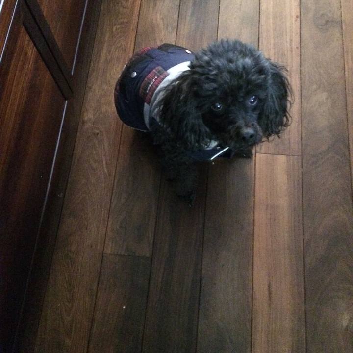 De2d9863 9d09 4165 823d c53e7154f27c