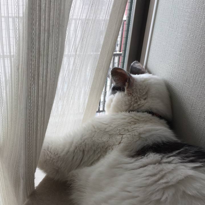 De2d9fce a586 4c93 8c2d 6c095d688a61