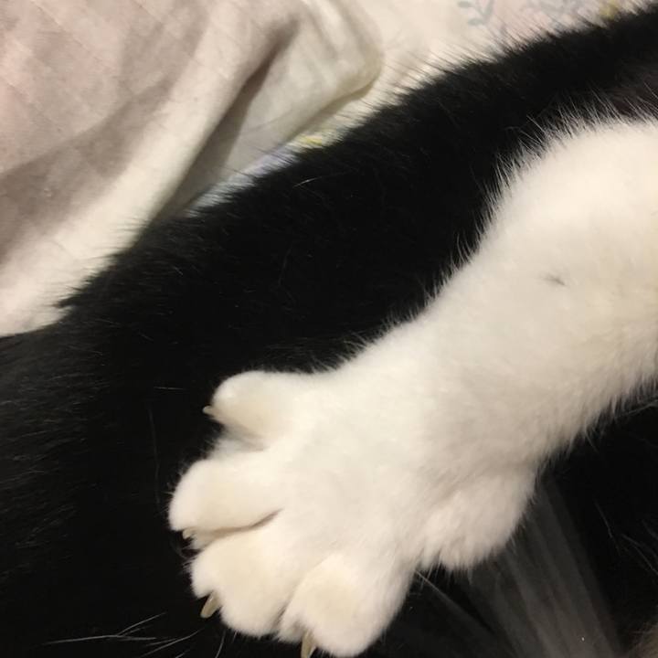 De2dbd83 a86a 4b76 a44e 19efc842f93f