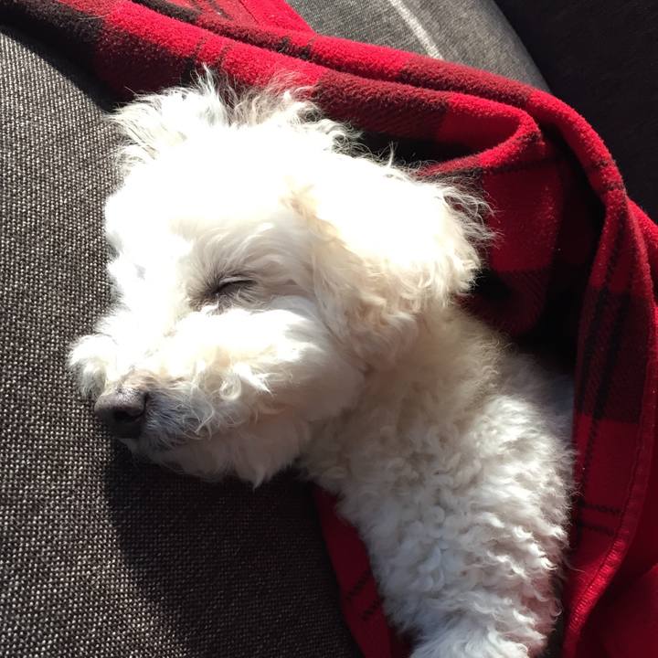 De2e2d47 4f3e 4e8e 88a9 caa3f5c780ec