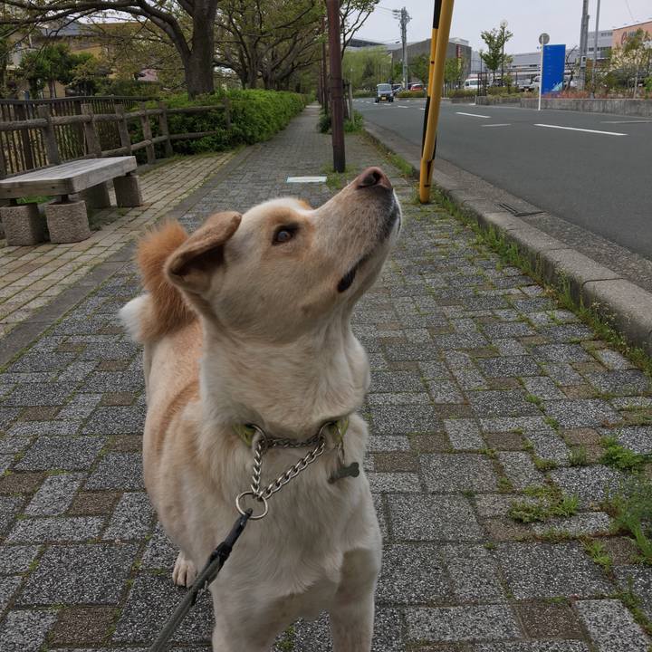 De2efd00 1e07 4c7b b68c d67057c3c233