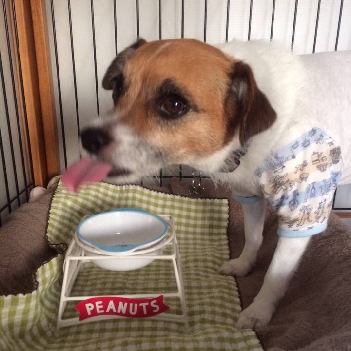 De2f192a 7f91 4b43 a3be b8fc7af468a1