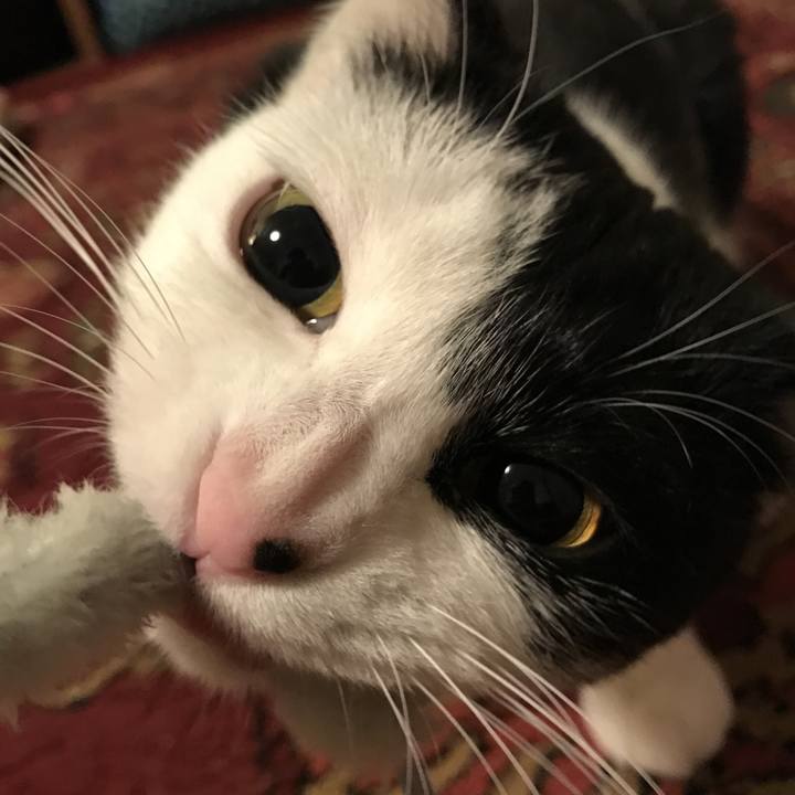 De2f2815 364b 42c3 a29e bf26439135be