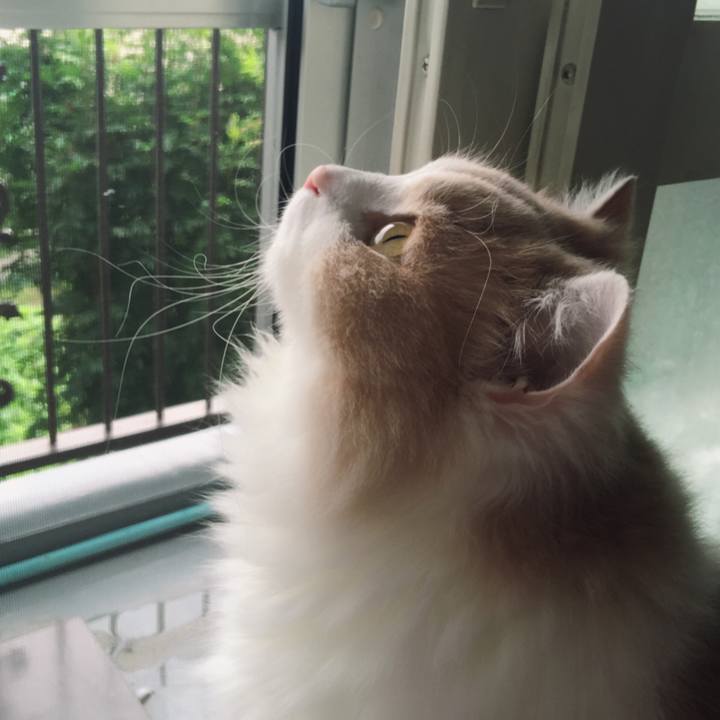 De2fd0ca 75ef 498f 868f bce474230838