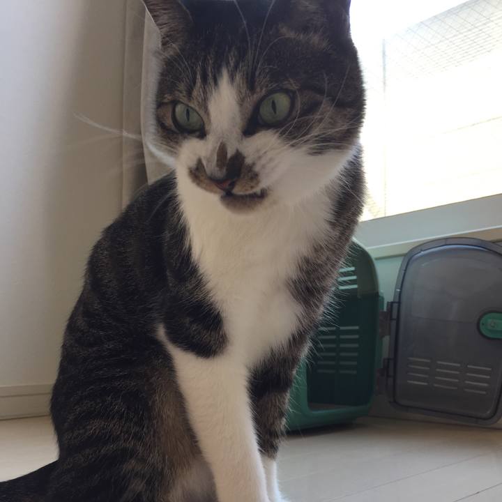 De2fde93 bde4 4ca7 85c7 2dd23d11f66f