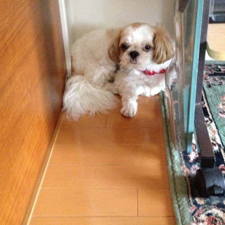 De2fe47b 7b44 4b96 8709 64b94cc972ab