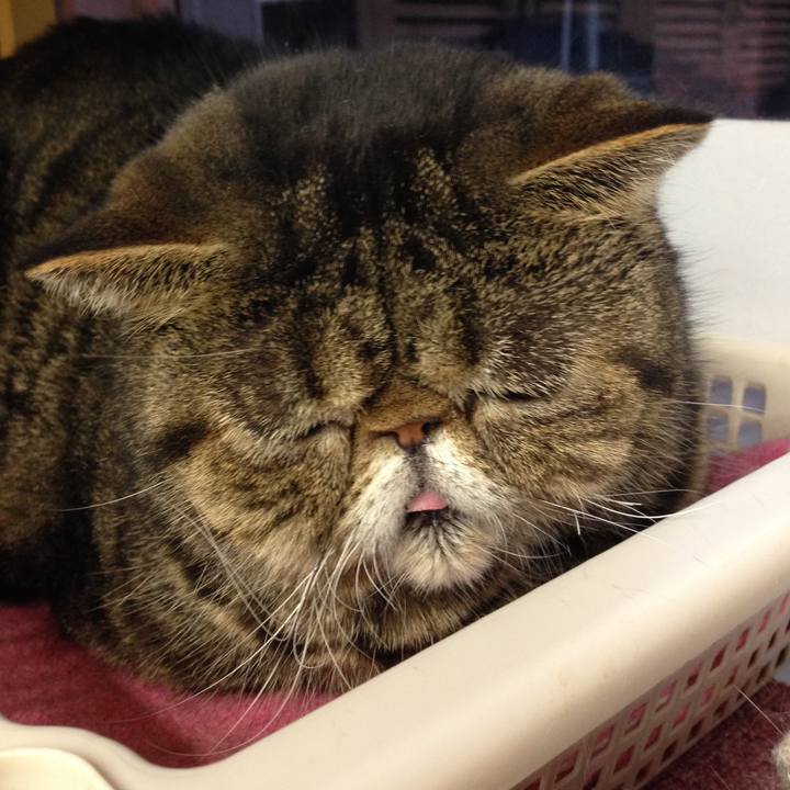 De303992 3eec 4e52 b228 2ceb308e2185