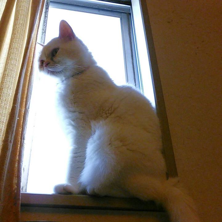 De3097ea fea0 4ab9 b5c3 60109139346f