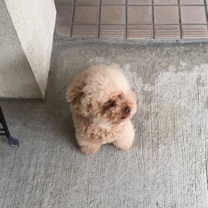 De30b363 bb0b 4207 a0b6 a22723912204