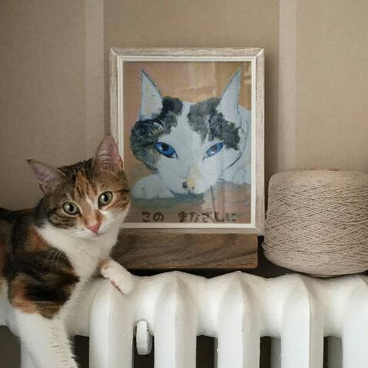 De30c86b 3492 4cd8 b538 fd39199e0ca2