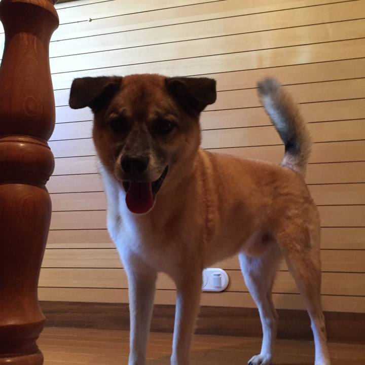 De3266a2 daa0 4770 baed 1be6d0712b28