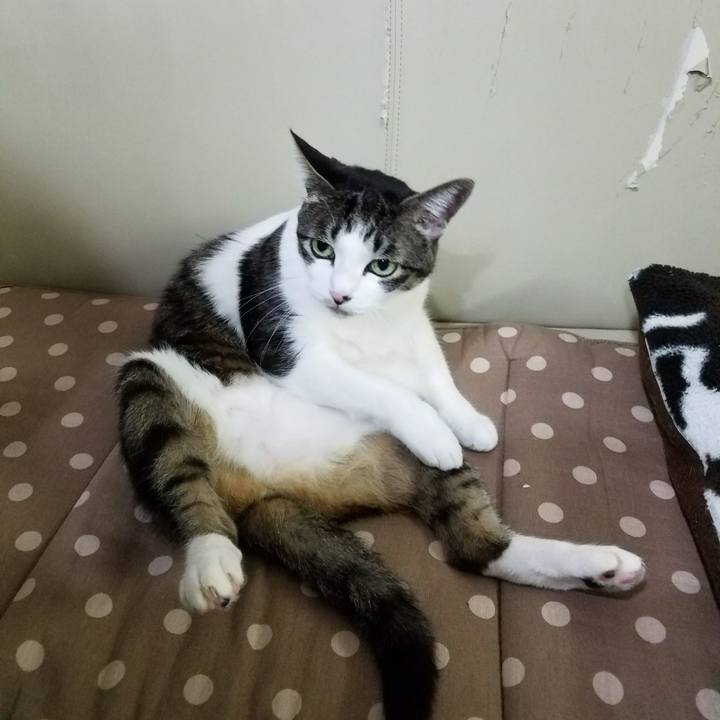 De328783 a3be 420c 85a6 ed35366178f9