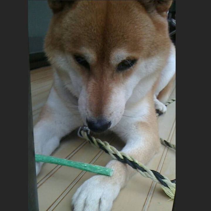 De32d076 4c10 40a4 9464 6481c75a51dc