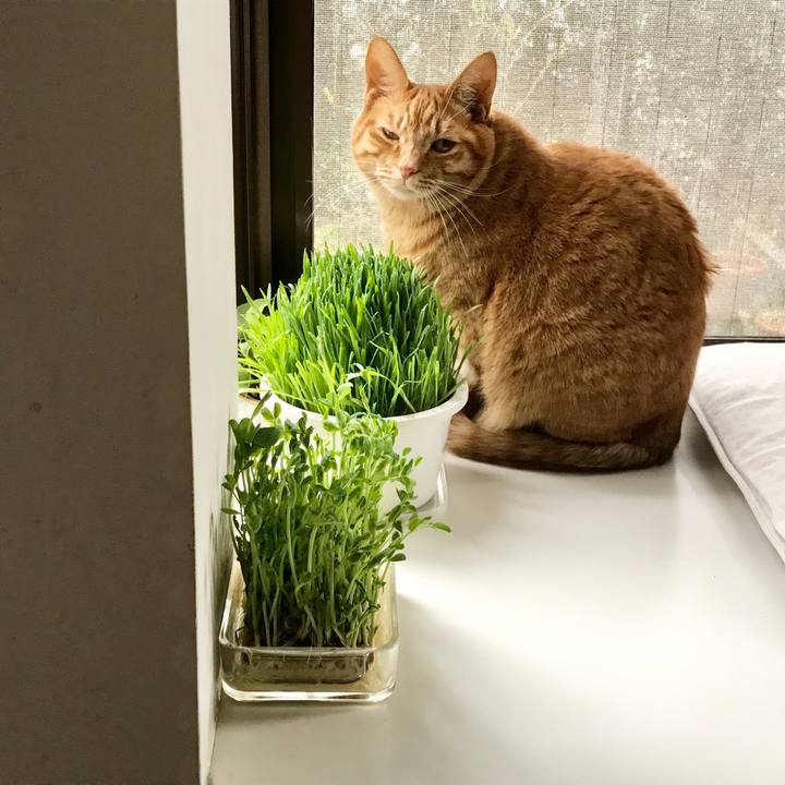 De32f786 c4bc 460f 811d 1ebd7cbdcf79