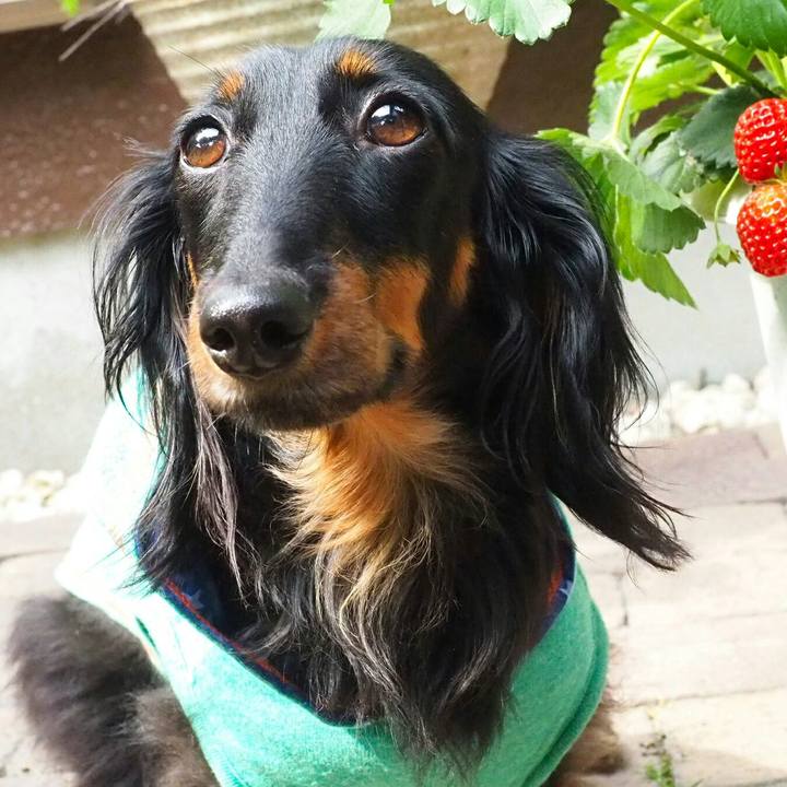 De337a29 0c18 4e3b 8fd0 39a544e4494a