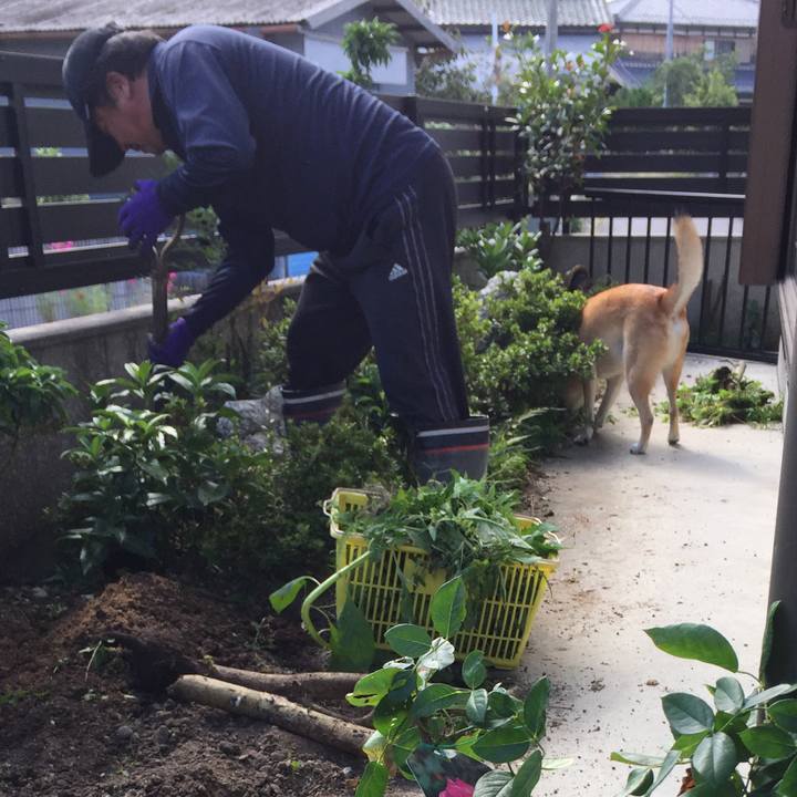 De33c7d1 acf9 4089 9c31 85da09e3763d