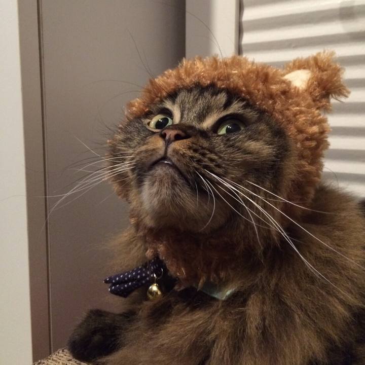 De33d069 9240 41f0 98d8 4100d8466314