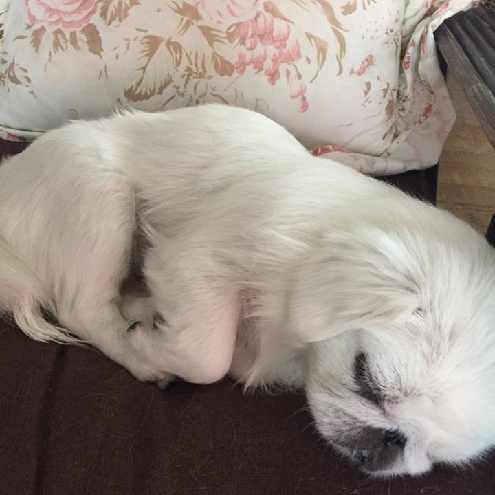 De33d09b eead 4979 894e 4b917deb48af