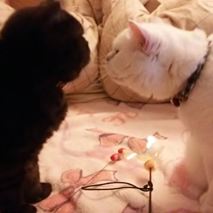 De34700b ea34 4235 b495 36348d5b270b