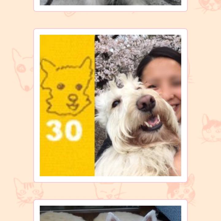 De35d938 47b9 4f55 942d be56c6e50c51