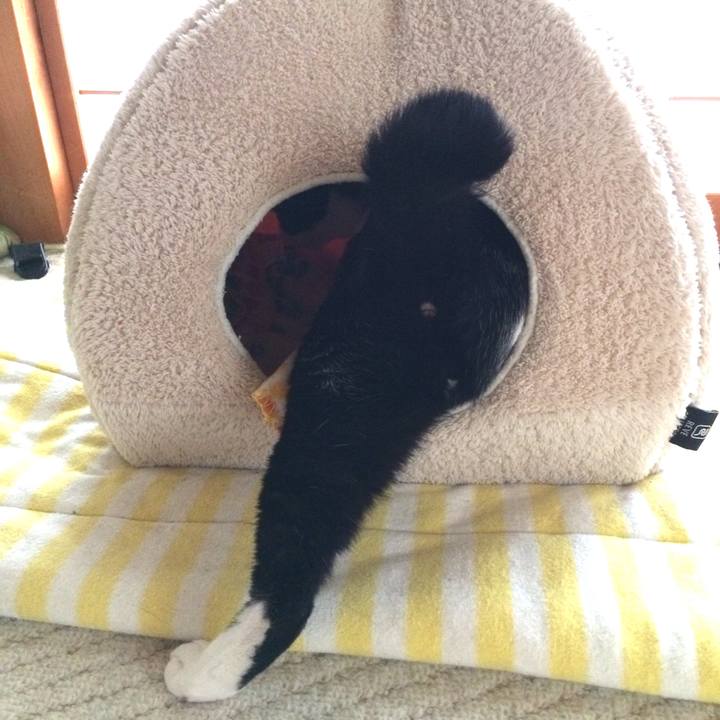 De367d67 7a2b 4666 a37b 9b421b8e2e3a