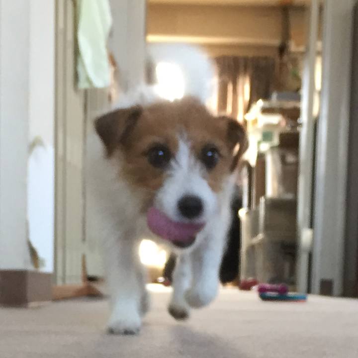 De3713fc e2b6 4f31 b2b3 63a058b6763f