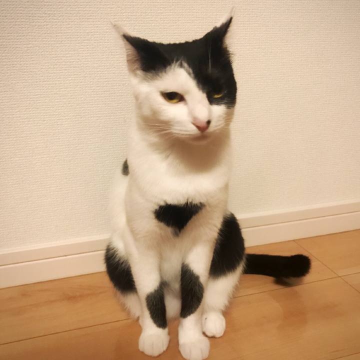 De374894 fb8f 4824 ba9a e308efb8fecc