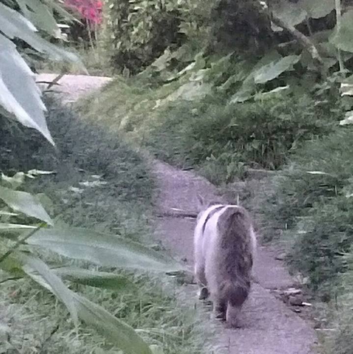 De37b190 e841 44b0 8d42 6b23af903246