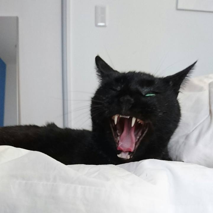 De3874c6 cc0c 4d5d 9e77 883015507f93