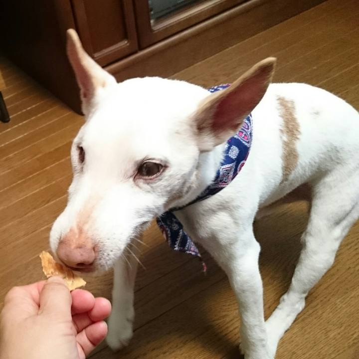 De387620 aada 4fa1 bd70 523120239dfd