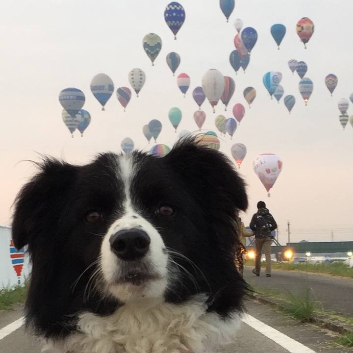 De38d3fc 6cef 4e6d b217 15ef7bc08176