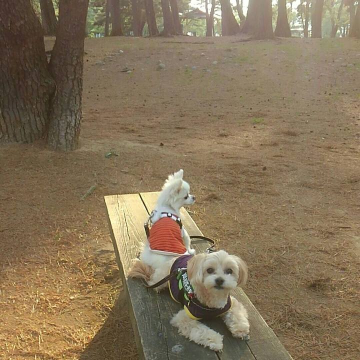 De390f2e b01b 4c29 954c ab41f6bd03e5