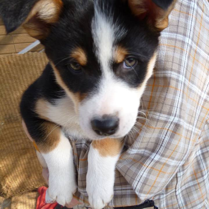 De391aca dabc 44fc a6f1 cadf5649cf84